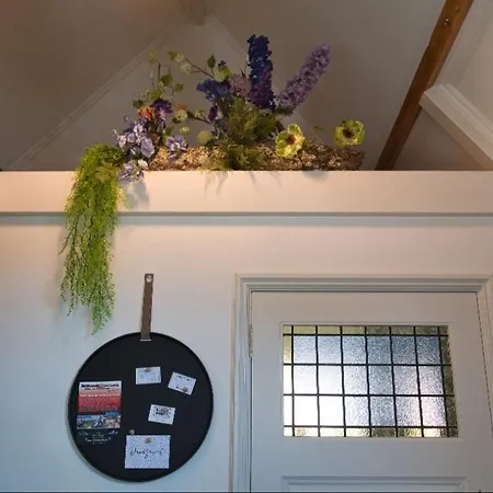 Com-in * Αλκμάαρ