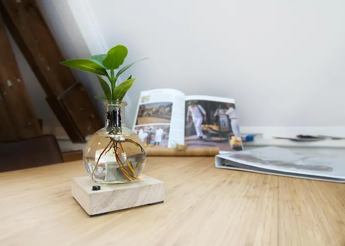 Com-in Αλκμάαρ