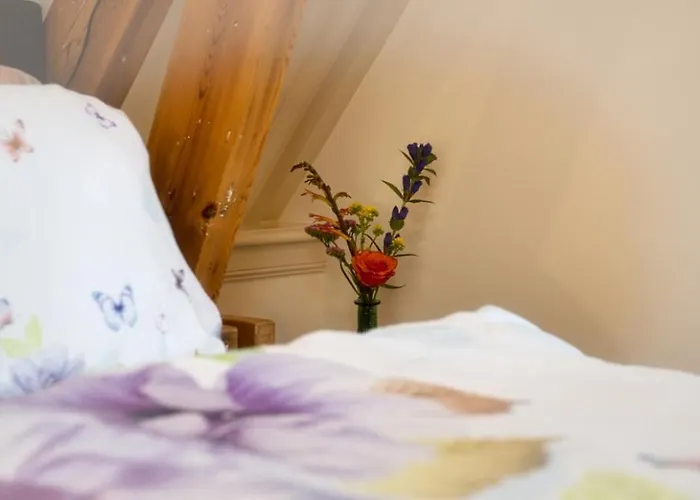 Com-in アパート *